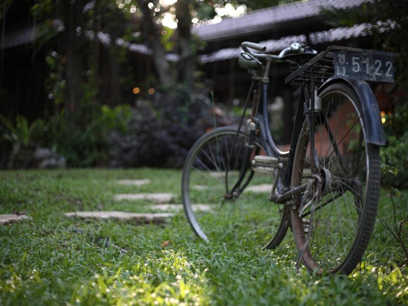 Viva Chiang Mai Nature Home Stay Экстерьер фото